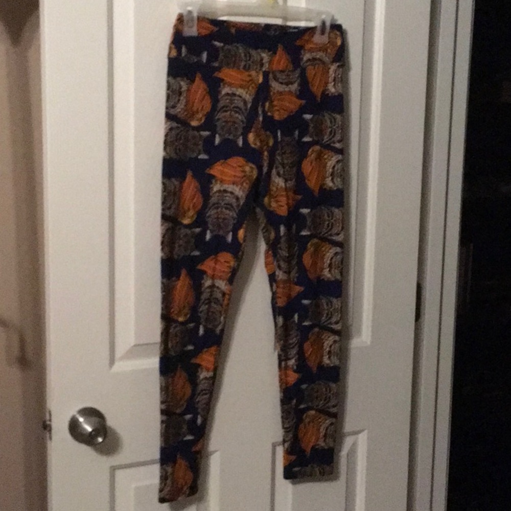 Blue Maine coon cat leggings